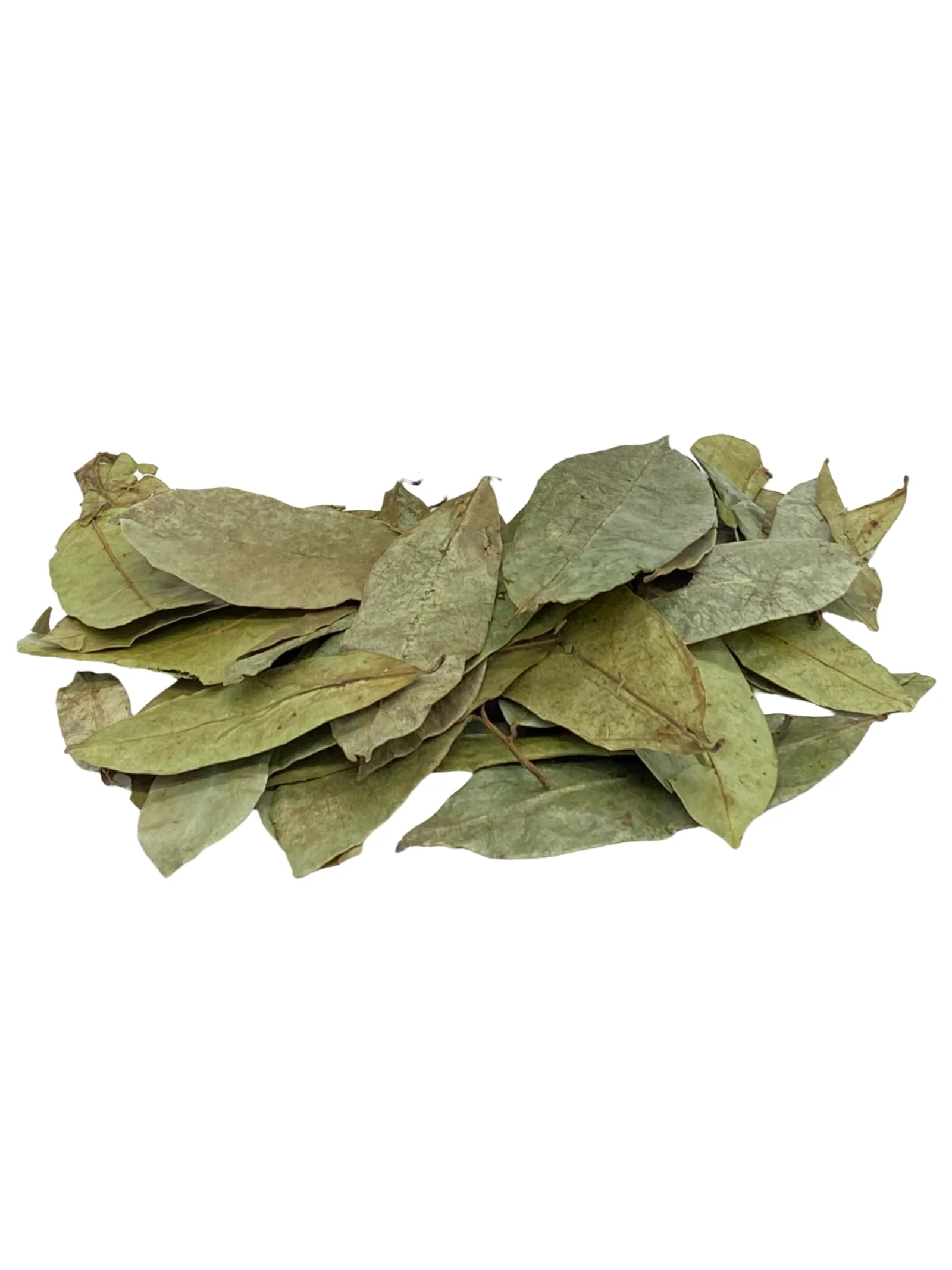 Hoja de guanábana