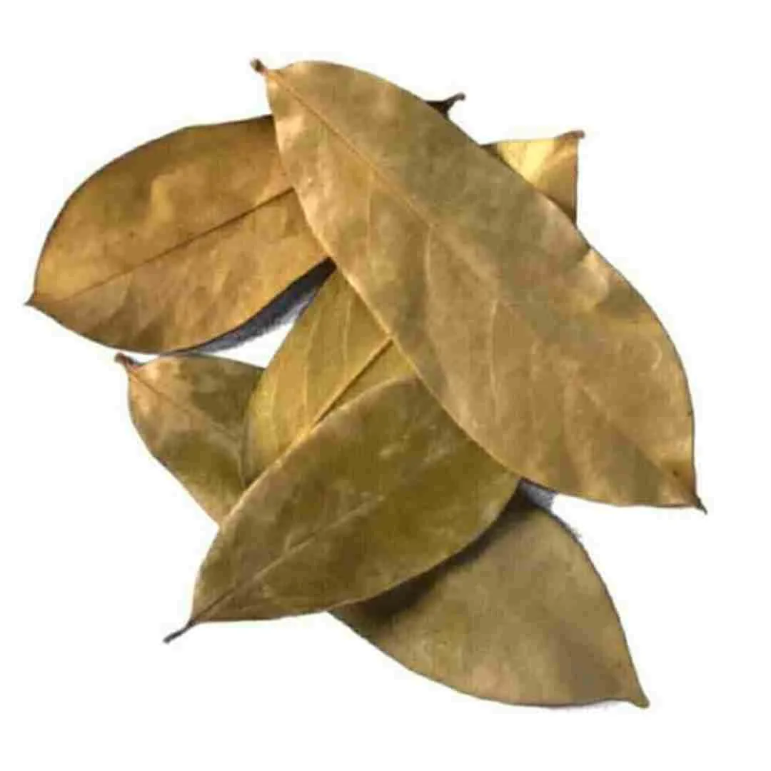 Several whole dried soursop leaves, long and oval with a pale central vein